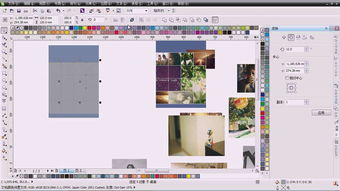 專業(yè)之選 打造卓越Logo與VI設(shè)計(jì)的軟件工具指南